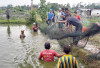  Rawa Terbengkalai Kini Jadi Sumber Penghasilan