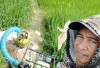 Sawah Kering, Petani OKU Timur Andalkan Gas Melon untuk Selamatkan Padi