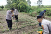 Dorong Kemandirian Desa