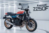 Kawasaki Z250FX 2026 Resmi Diperkenalkan, Naked Sport Modern dengan Teknologi Canggih dan Performa Berkelas