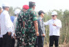 Tinjau Lokasi Program Cetak Sawah di Tanjung Baru OKI, Dudung Sebut Ini Upaya Pemerintah Perkuat Swasembada Pa
