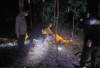 Polisi Ungkap Hasil Visum Pasutri Tewas di Kebun Karet Banyuasin, Dugaan Pembunuhan Disusul Bunuh Diri?