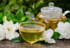 Manfaat Bunga Kaca Piring untuk Kesehatan: Potensi Herbal yang Perlu Disikapi Bijak