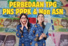 Perbedaan Nilai TPG Bagi PNS, PPPK, dan Non ASN