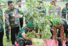 Perkenalkan Program Pulauan Bueh