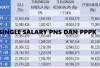 Tabel Gaji PNS dan PPPK Jika Pakai Skema Gaji Tunggal Atau Single Salary Pada Tahun Depan