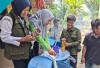  Batang dan Akar Pisang Jadi Pupuk Hayati