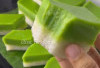 Kue Talam Ubi Kuliner Tradisional Lumer di Mulut yang Kenyal, Gurih, dan Selalu Bikin Ketagihan