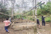 Arena Sabung Ayam Digrebek, Ternyata Penjudinya Sudah Bubar Duluan