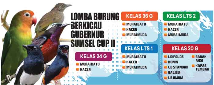 24 September, Lomba Burung Berkicau Gubernur Sumsel Cup II