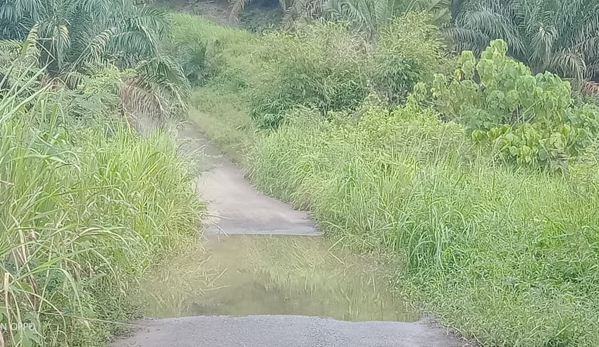 Keluhkan Jalan Penghubung Desa Sering Tergenang Banjir
