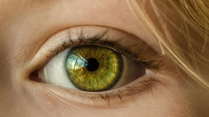 Genetika dan Warna Mata, Kisah Unik di Balik Koleksi Warna Iris Manusia
