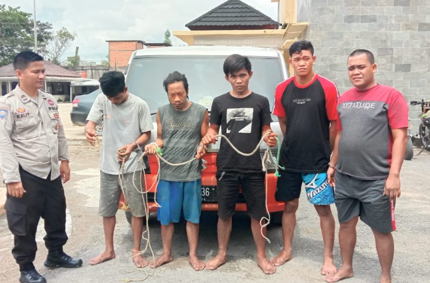 Komplotan Pencuri Sapi, Lima Warga Desa Sindang Marga Diamankan Polisi
