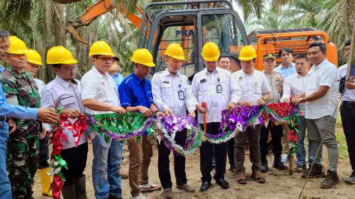Kebun Plasma Desa Mekar Wangi Mitra Binaan PT Sampoerna Agro Tbk Lakukan Tumbang and Chipping Perdana