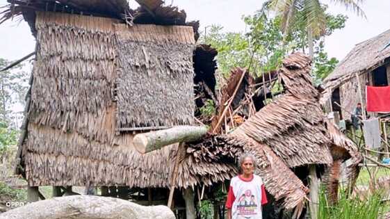 Kasihan,  Nenek Zulma Harus Ngungsi Karena Rumahnya Terbelah Ditimpa Pohon