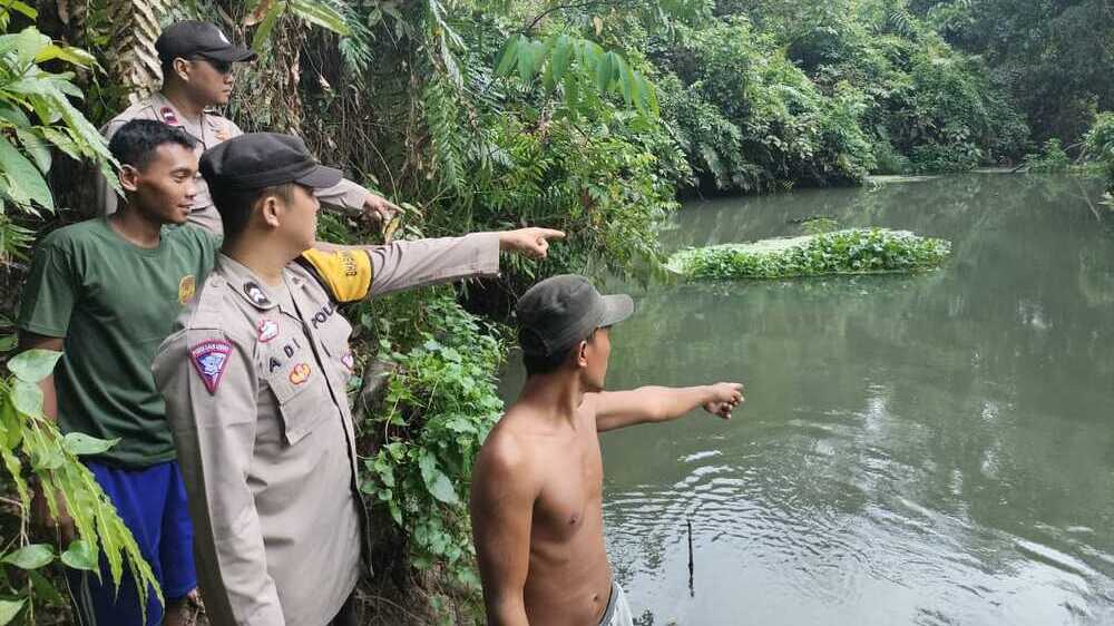 Waspadai Ancaman Buaya, Penduduk Purwodadi Diminta Hindari Aktivitas di Sungai Lesing