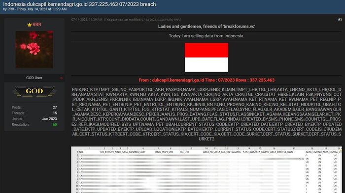 Situs Dark Web Jual Data Ditjen Dukcapil Kemendagri, Identitas 337 Juta Penduduk Bocor