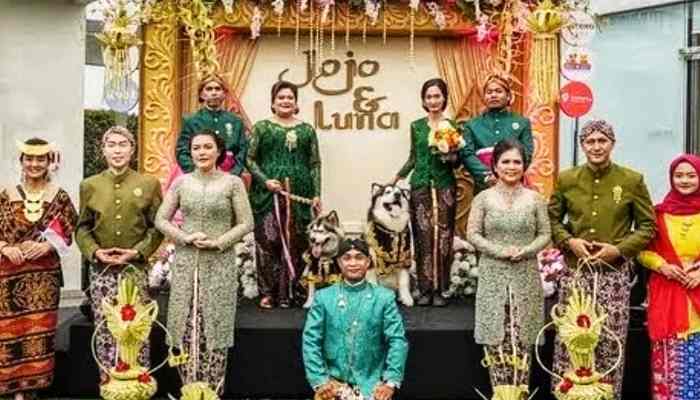 LAGI HEBOH, Pernikahan Sepasang Anjing di Hotel Mewah. Telan Biaya Rp200 Juta, Jiwa Miskin Netizen Langsung Me