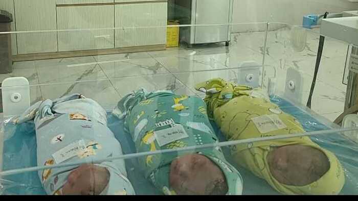 Sejarah, RS Bhayangkara M Hasan Sukses Operasi Bayi Kembar Tiga dengan Metode ERACS