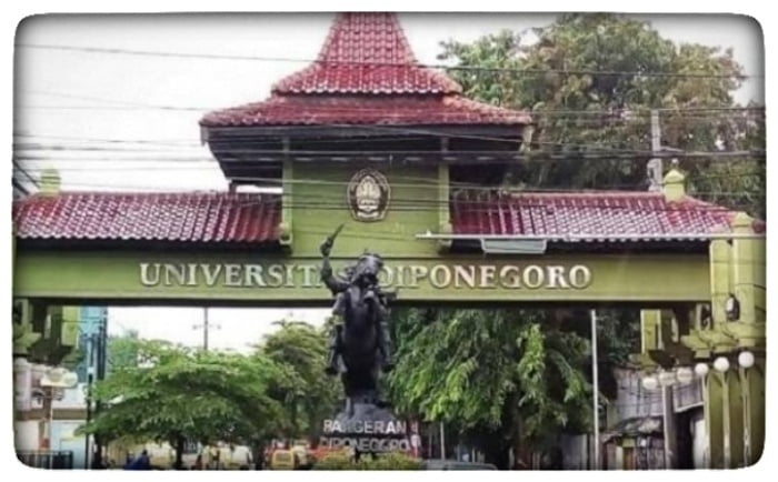 INFO LOKER, Universitas Diponogoro Butuh Dosen Tetap Non PNS, Simak Persyatannya