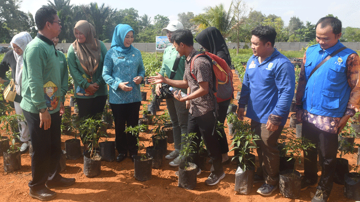 Bantu 5 Ribu Bibit Tanaman Hortikultura