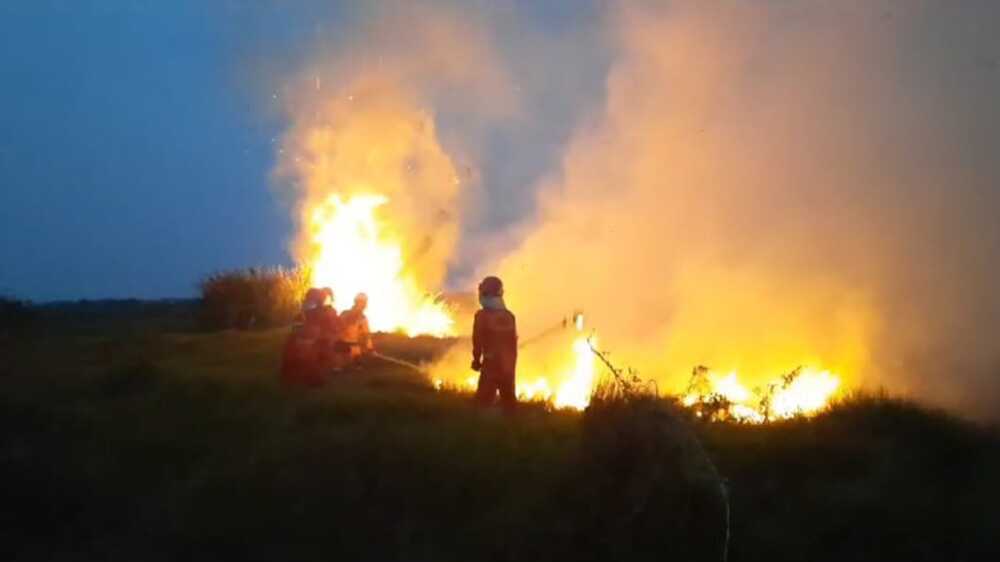 Lahan Gambut Terbakar Dekat Tol Kapal Betung KM 348, Petugas Siaga 24 Jam