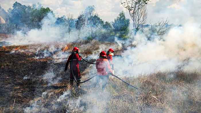 1.129 Hektare Lahan Sudah Terbakar