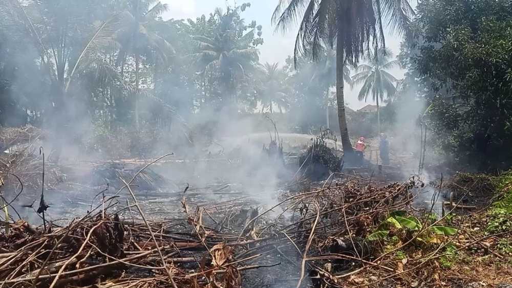 Kebakaran Lahan Kosong Nyaris Merembet ke Pemukiman Warga, Ada Dugaan Sengaja Dibakar