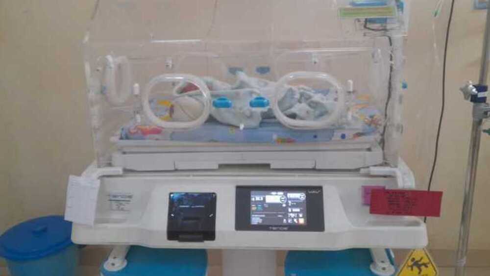 Momen Spesial: Tiga Bayi Kembar Lahir Secara Alami di RSUD Prabumulih Saat HUT RI ke-78