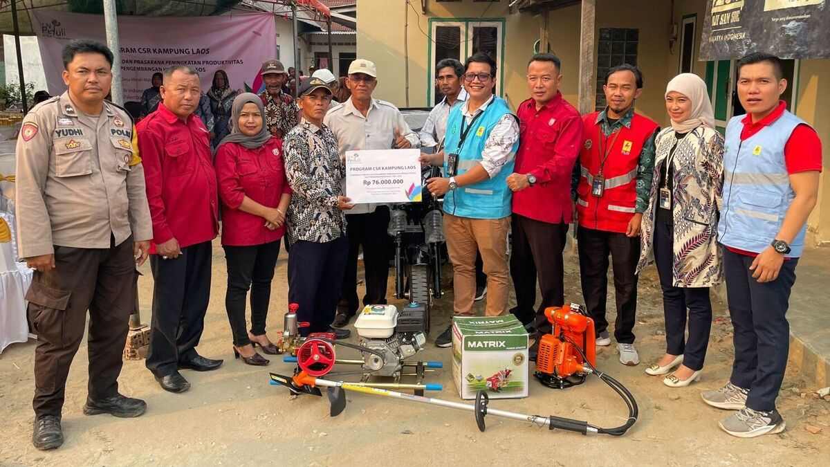 Potensi Budidaya Laos di Merah Mata, Program CSR PT PLN Indonesia Power Dukung Petani Lokal